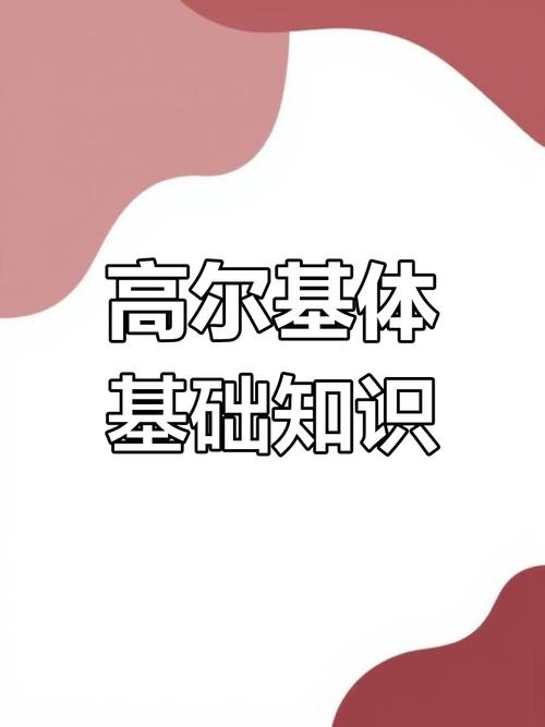 高尔基／高尔基体的功能