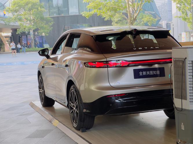 买岚图的十大忠告(岚图知音优缺点)